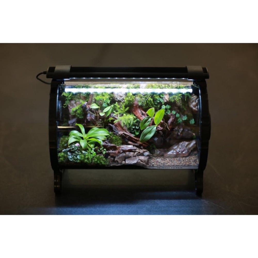 詠湦水植工坊｜bioloark 生物培養艙 HZ-180（空缸）6W｜植物培養 小爬蟲飼養 苔蘚-細節圖9