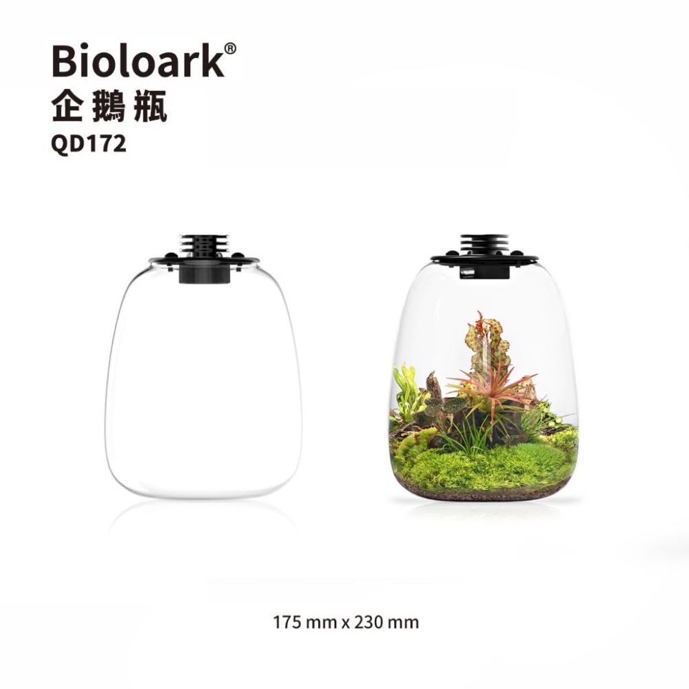 【詠湦水植工坊】Bioloark QD172 PD170 含燈生態瓶｜企鵝瓶 生態瓶 內建植物燈 微景觀 室內盆栽-細節圖2