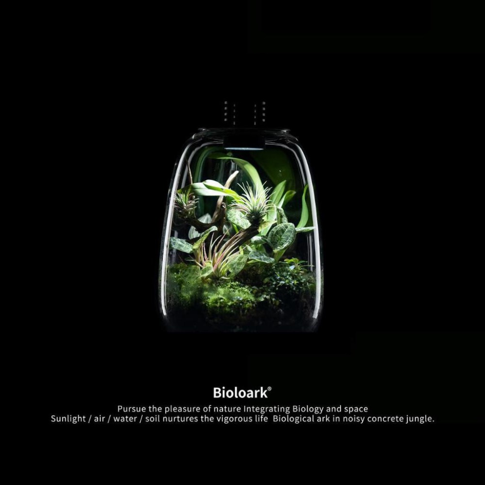 【詠湦水植工坊】Bioloark QD172 PD170 含燈生態瓶｜企鵝瓶 生態瓶 內建植物燈 微景觀 室內盆栽-細節圖4