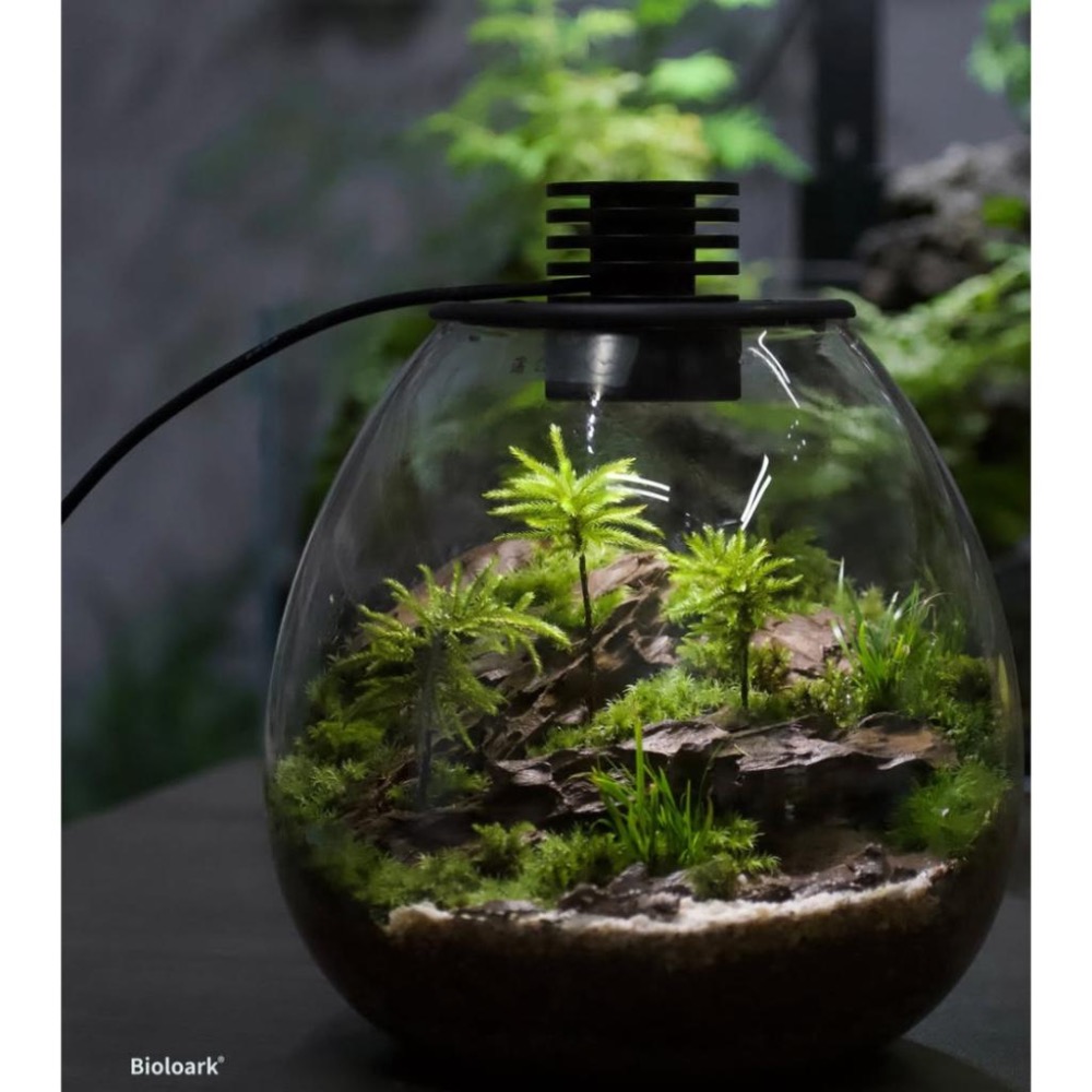 【詠湦水植工坊】Bioloark QD172 PD170 含燈生態瓶｜企鵝瓶 生態瓶 內建植物燈 微景觀 室內盆栽-細節圖5