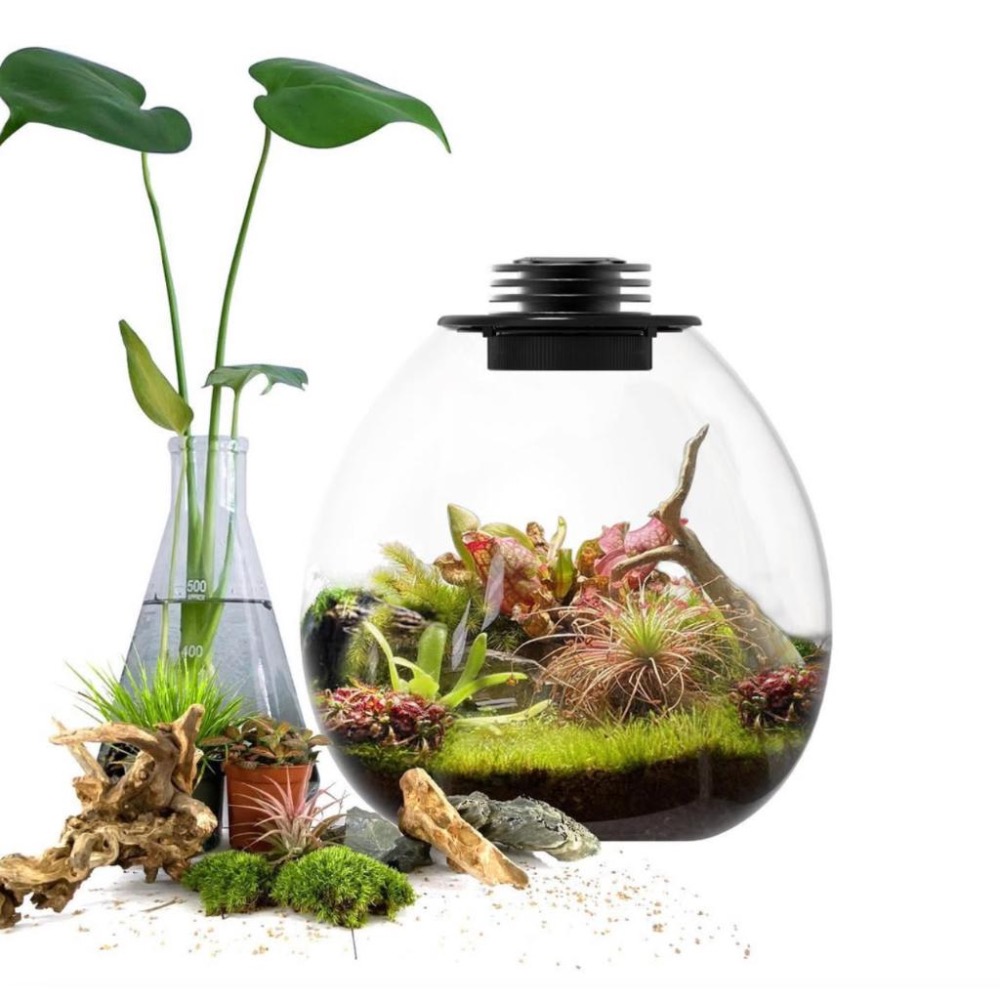 【詠湦水植工坊】Bioloark QD172 PD170 含燈生態瓶｜企鵝瓶 生態瓶 內建植物燈 微景觀 室內盆栽-細節圖7
