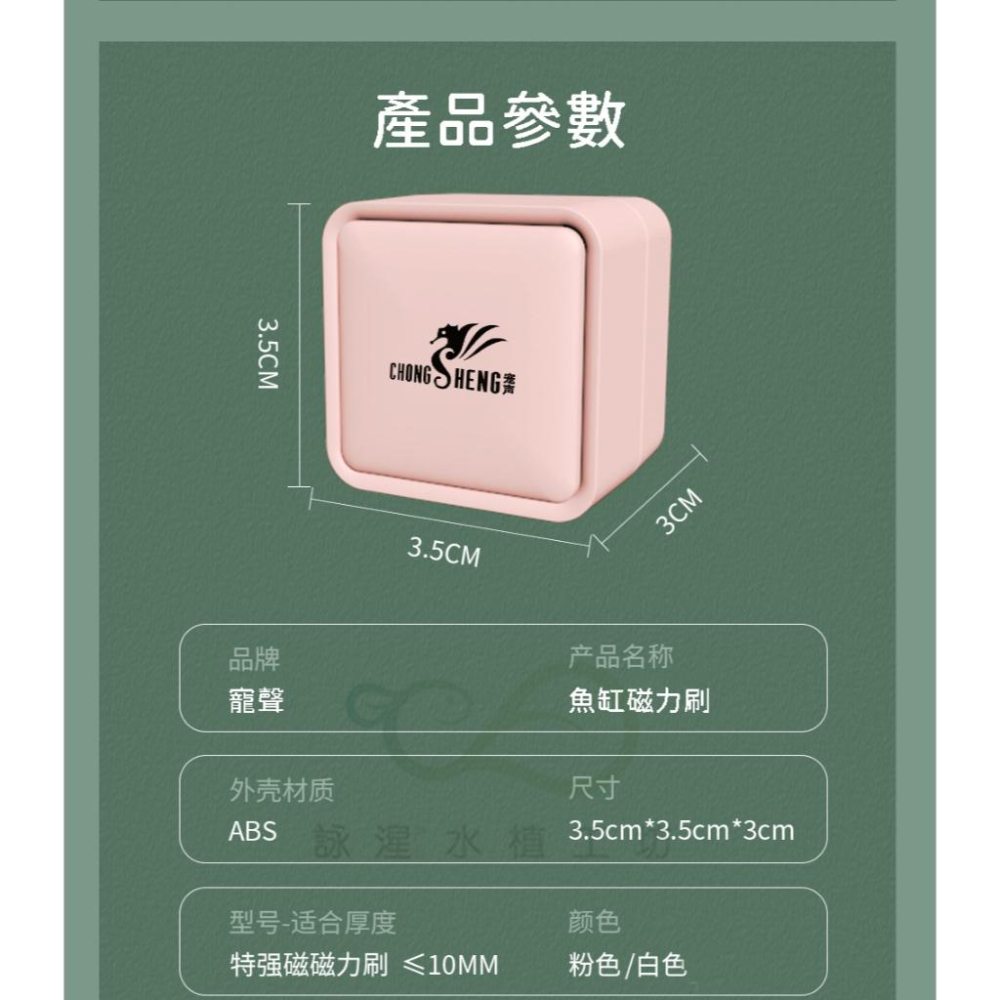 【詠湦水植工坊】魚缸磁力刷 3.5x3.5cm｜寵聲 迷你魚缸磁力刷-細節圖2
