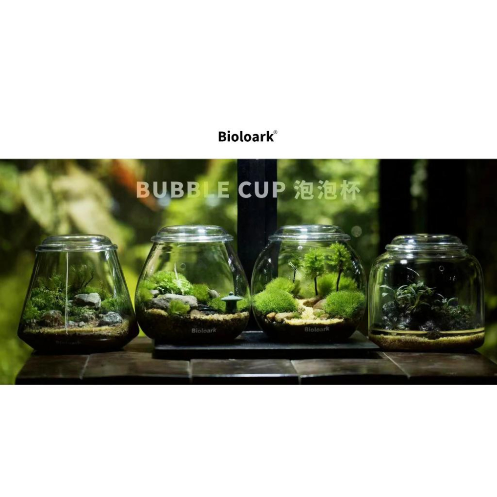 【詠湦水植工坊】Bioloark LH-01 泡泡杯禮盒套組 附高壓噴霧瓶｜苔蘚 生態瓶 多肉 聖誕禮物 交換禮物 禮盒-細節圖4