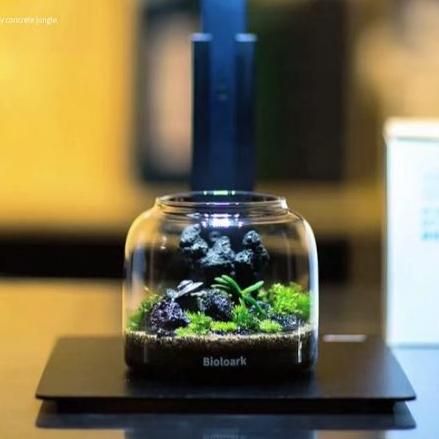 【詠湦水植工坊】Bioloark LH-01 泡泡杯禮盒套組 附高壓噴霧瓶｜苔蘚 生態瓶 多肉 聖誕禮物 交換禮物 禮盒-細節圖7