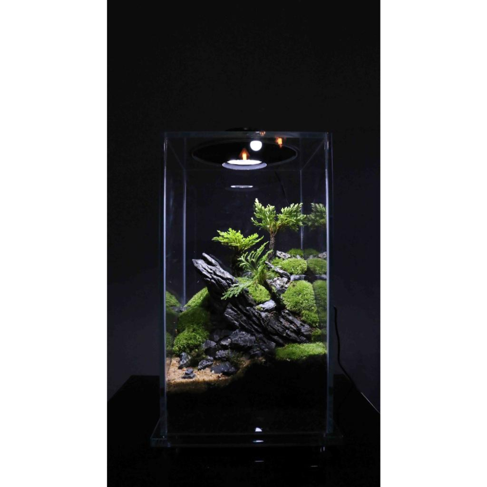 【詠湦水植工坊】宅配免運 Bioloark FD200 超白玻璃生態缸｜燈瓶一體附適配器｜微景觀-細節圖2