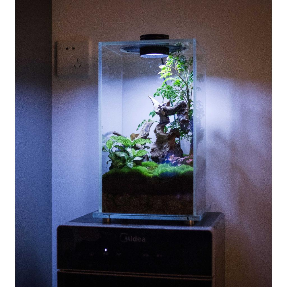 【詠湦水植工坊】宅配免運 Bioloark FD200 超白玻璃生態缸｜燈瓶一體附適配器｜微景觀-細節圖3