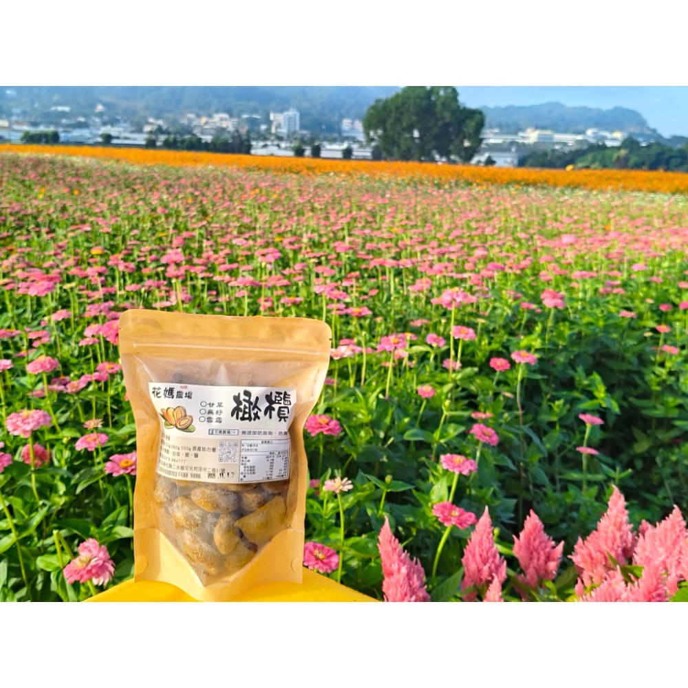 橄欖（無籽）-細節圖2