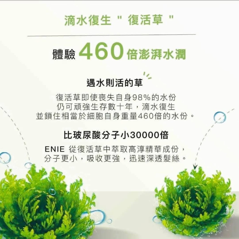 💪勇健e起來💪葡萄王 葡眾禪花護手霜 保證公司貨 效期最新 詢問接下殺免運優惠 其-細節圖5