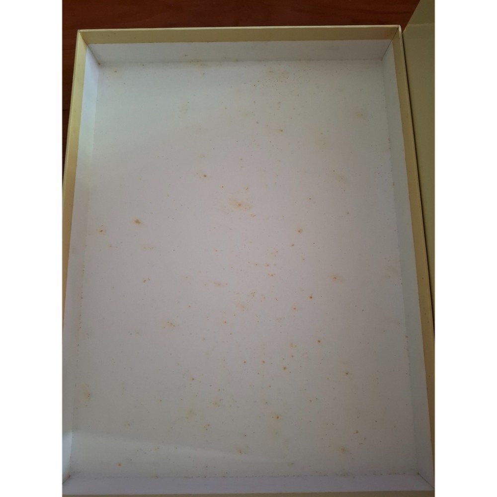 日本製進口 絕版Hello kitty 古典造型西洋娃娃有編號236的夢幻逸品 現貨一隻 二手〔有外盒〕-細節圖5