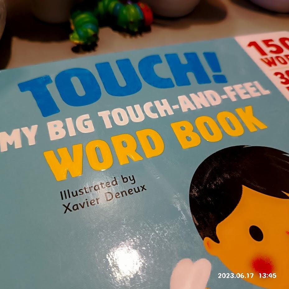 現貨🍀英文精裝大開本硬頁觸摸單字書Touch! My Big Touch-and-feel Word Book【缺書店】-細節圖9