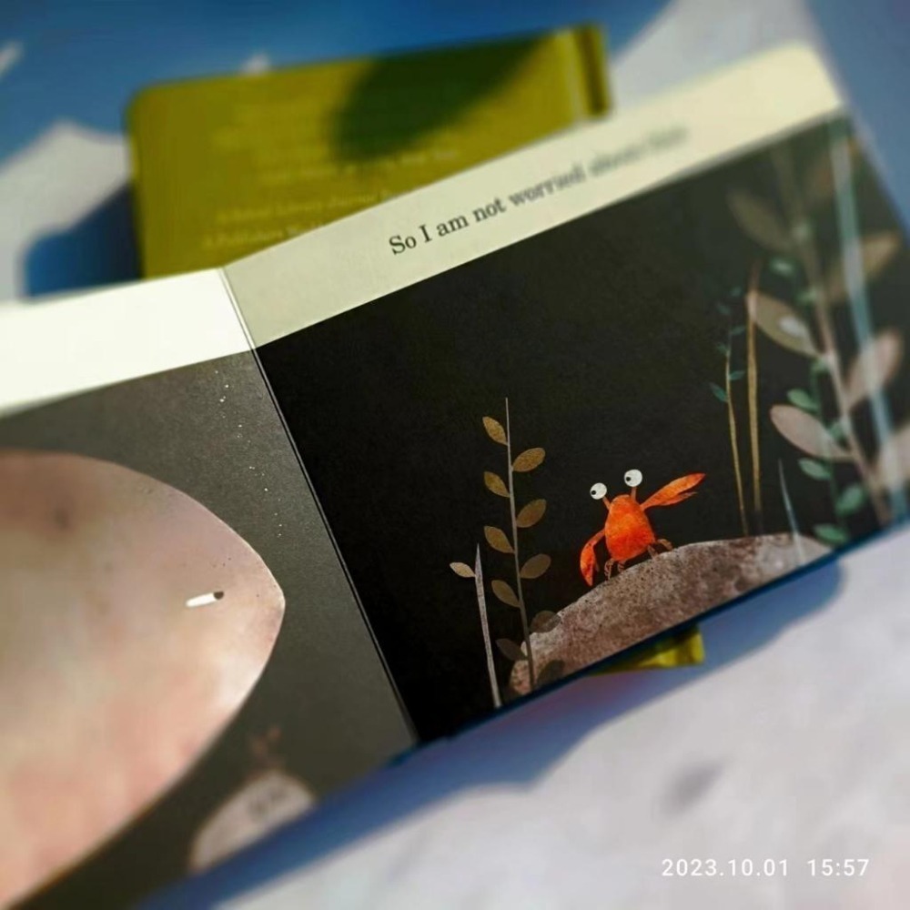 贈音檔🍀獲獎英文經典繪本This Is Not My Hat 🍀美國B&N獨家版🍀Jon Klassen🍀缺書店-細節圖4