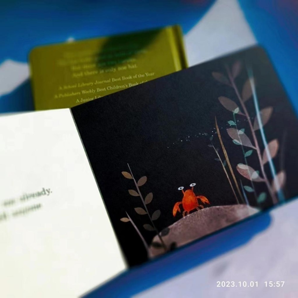 贈音檔🍀獲獎英文經典繪本This Is Not My Hat 🍀美國B&N獨家版🍀Jon Klassen🍀缺書店-細節圖5