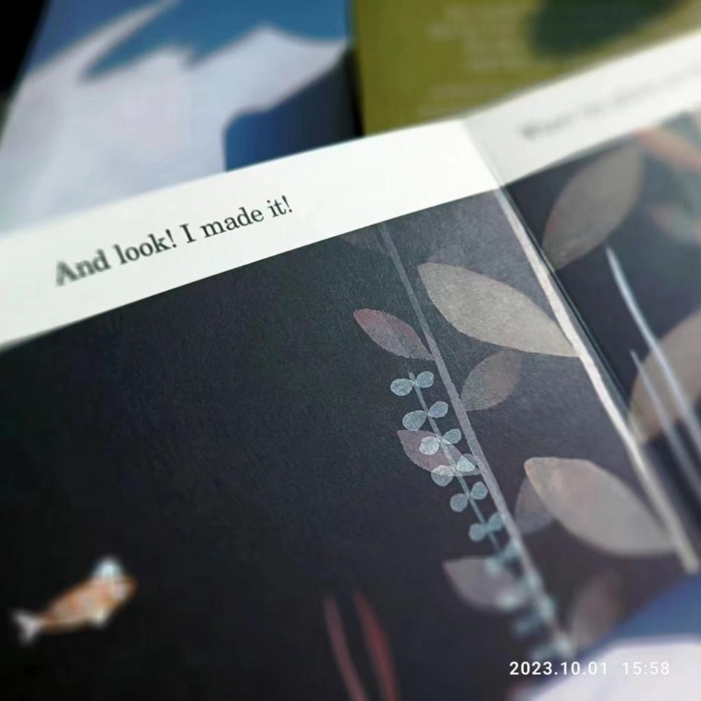 贈音檔🍀獲獎英文經典繪本This Is Not My Hat 🍀美國B&N獨家版🍀Jon Klassen🍀缺書店-細節圖6