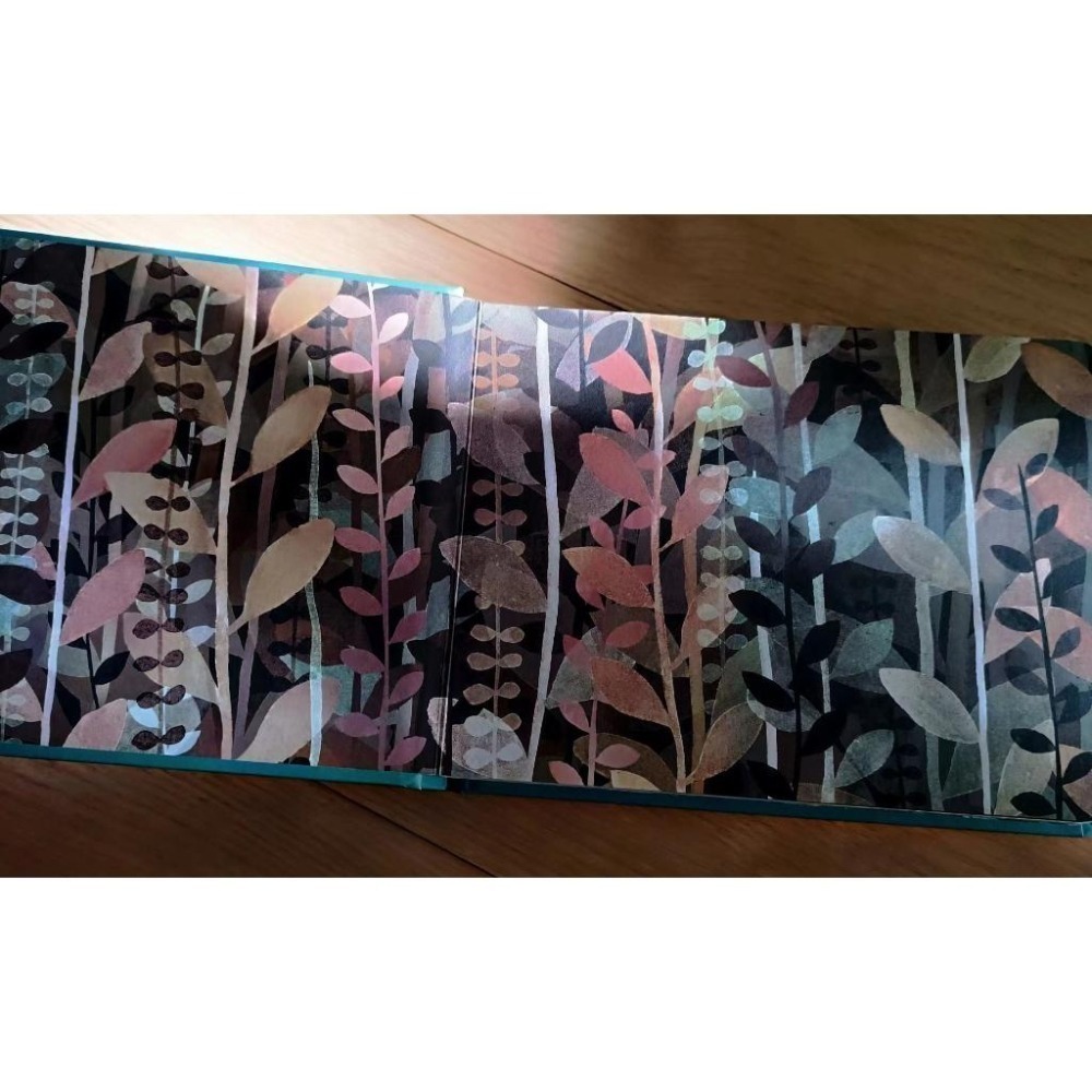 贈音檔🍀獲獎英文經典繪本This Is Not My Hat 🍀美國B&N獨家版🍀Jon Klassen🍀缺書店-細節圖7