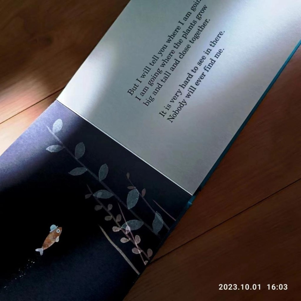 贈音檔🍀獲獎英文經典繪本This Is Not My Hat 🍀美國B&N獨家版🍀Jon Klassen🍀缺書店-細節圖9