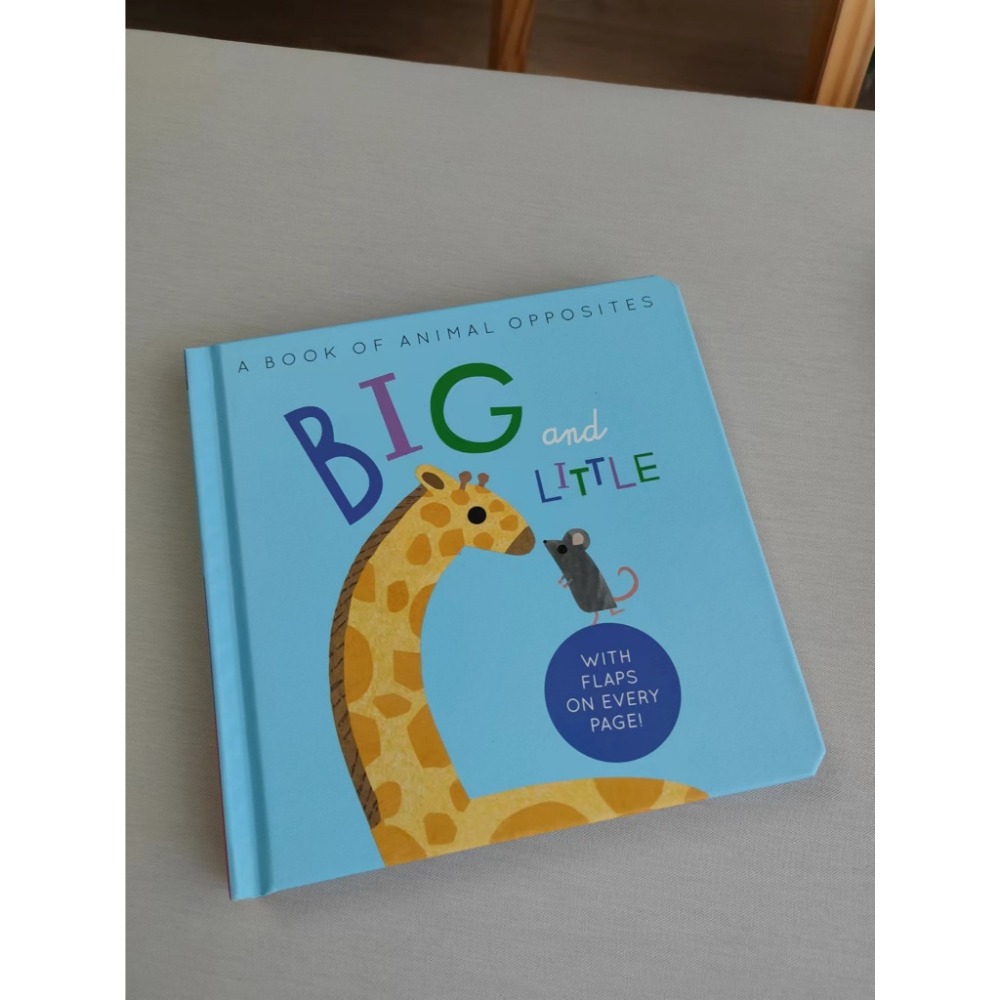 BIG AND LITTLE 反義詞