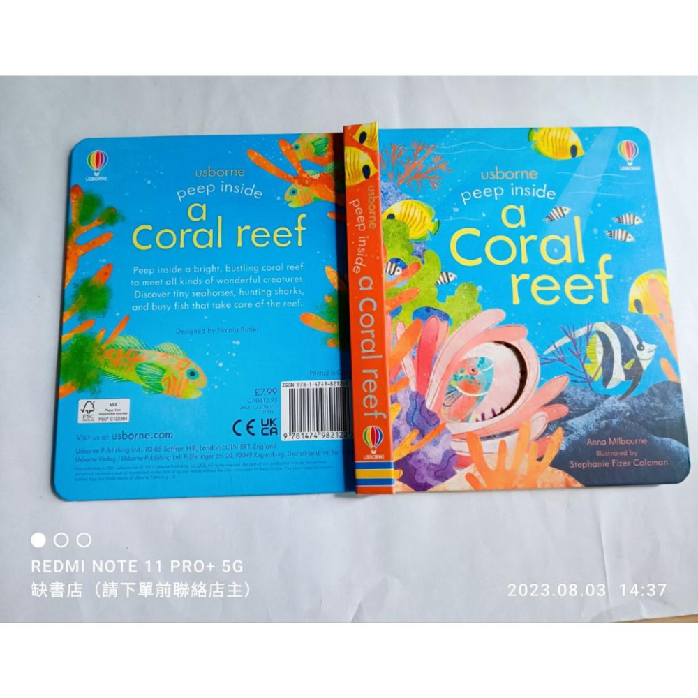 現貨🍀Usborne英文科普知識繪本🍀Peep inside a Coral Reef 硬頁翻翻書🍀【缺書店】-細節圖2