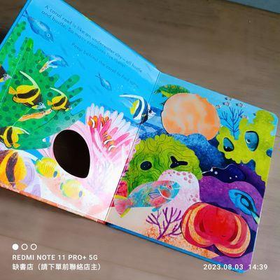 現貨🍀Usborne英文科普知識繪本🍀Peep inside a Coral Reef 硬頁翻翻書🍀【缺書店】-細節圖3