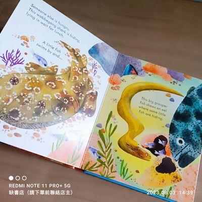 現貨🍀Usborne英文科普知識繪本🍀Peep inside a Coral Reef 硬頁翻翻書🍀【缺書店】-細節圖4