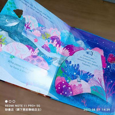 現貨🍀Usborne英文科普知識繪本🍀Peep inside a Coral Reef 硬頁翻翻書🍀【缺書店】-細節圖6