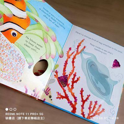 現貨🍀Usborne英文科普知識繪本🍀Peep inside a Coral Reef 硬頁翻翻書🍀【缺書店】-細節圖8