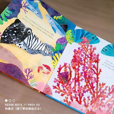 現貨🍀Usborne英文科普知識繪本🍀Peep inside a Coral Reef 硬頁翻翻書🍀【缺書店】-細節圖9