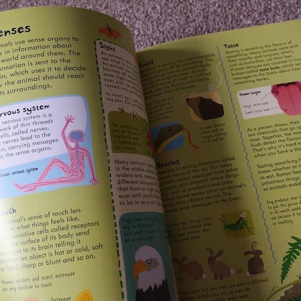 Usborne小學生英文圖解科學辭典Junior Illustrated Science Dictionary🍀缺書店-細節圖6
