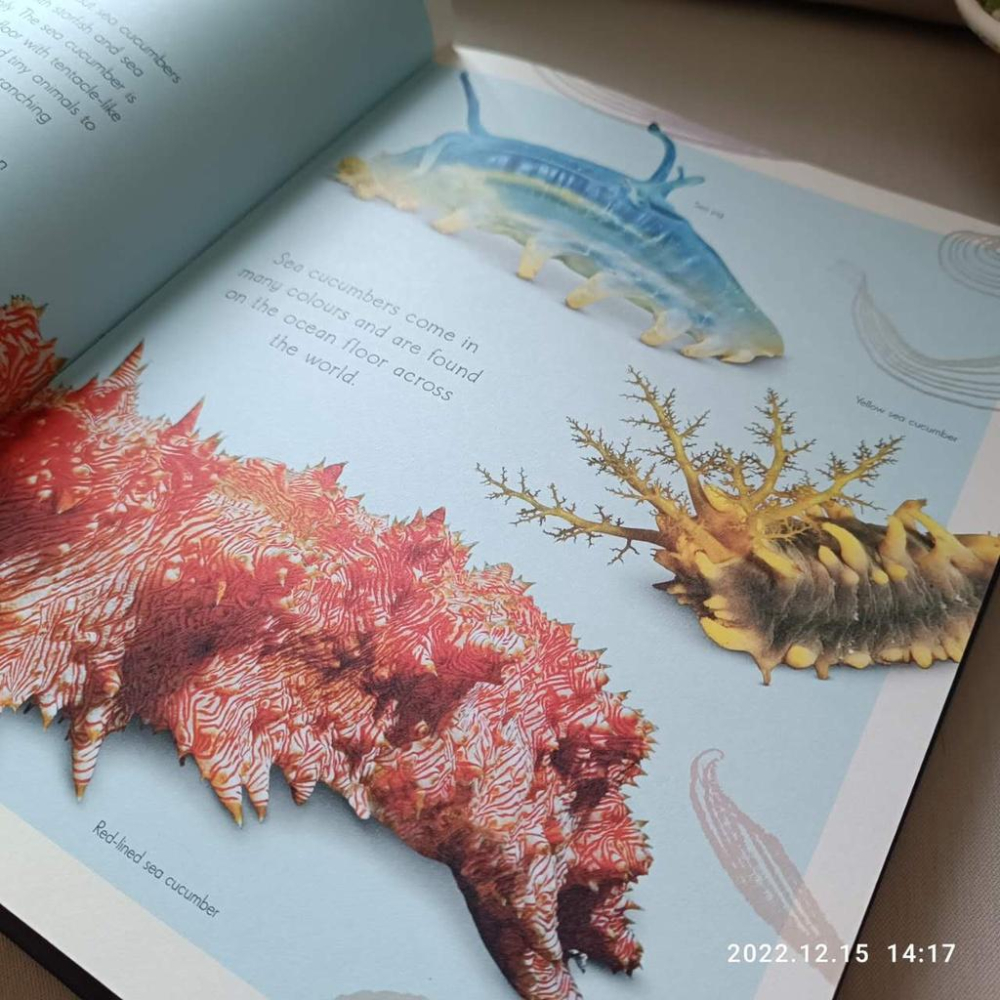 現貨🍀DK自然科普書籍Anthology of Aquatic Life【英國版】🍀側邊燙金🍀同系列第4本【缺書店】-細節圖3