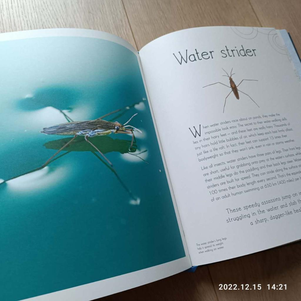 現貨🍀DK自然科普書籍Anthology of Aquatic Life【英國版】🍀側邊燙金🍀同系列第4本【缺書店】-細節圖5