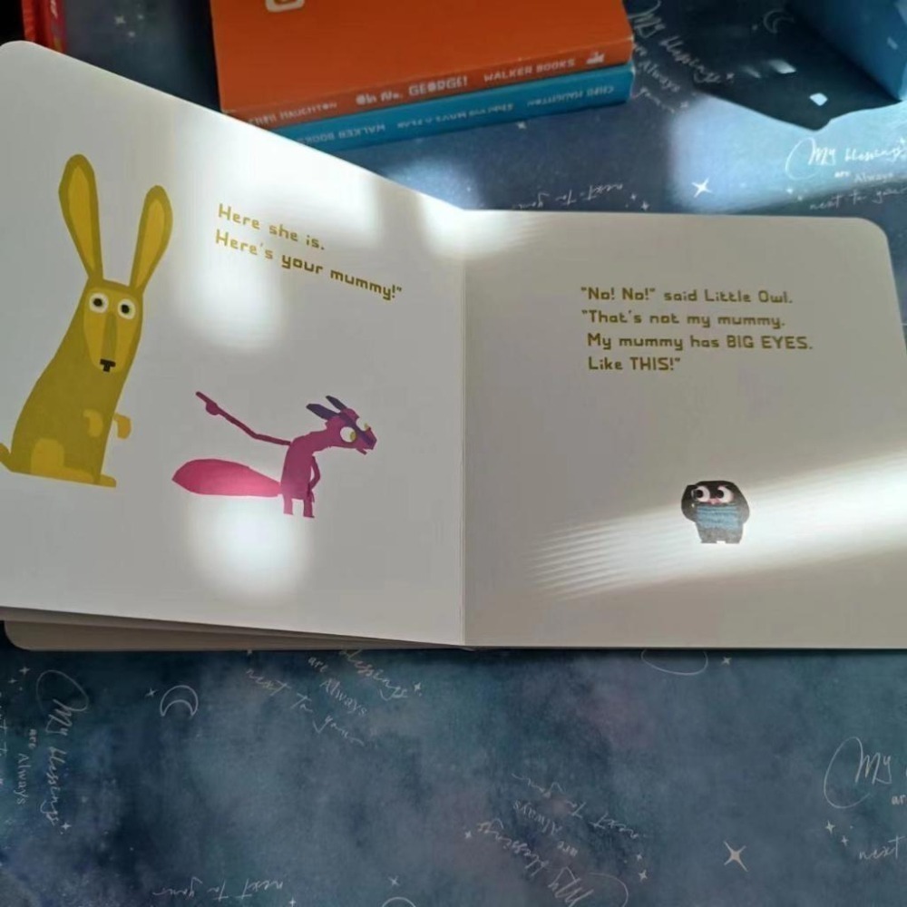 獲獎經典英文啟蒙繪本A Bit Lost / Little Owl Lost🍀Chris Haughton🍀缺書店-細節圖3