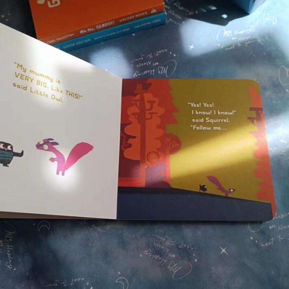 獲獎經典英文啟蒙繪本A Bit Lost / Little Owl Lost🍀Chris Haughton🍀缺書店-細節圖5