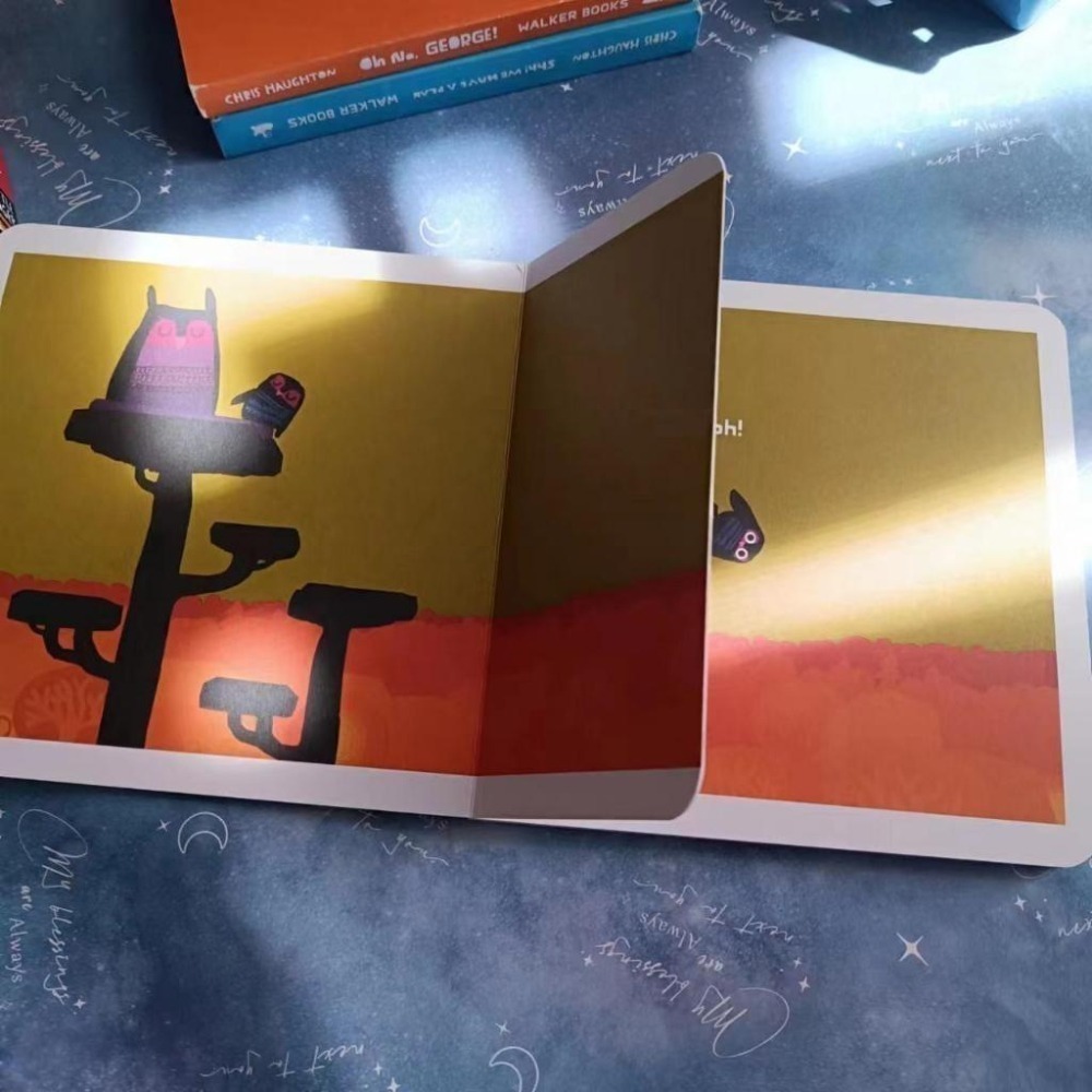 獲獎經典英文啟蒙繪本A Bit Lost / Little Owl Lost🍀Chris Haughton🍀缺書店-細節圖7