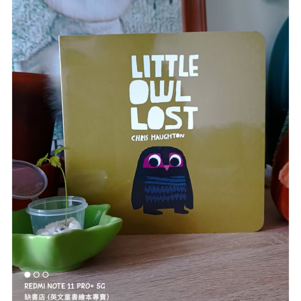獲獎經典英文啟蒙繪本A Bit Lost / Little Owl Lost🍀Chris Haughton🍀缺書店-規格圖8
