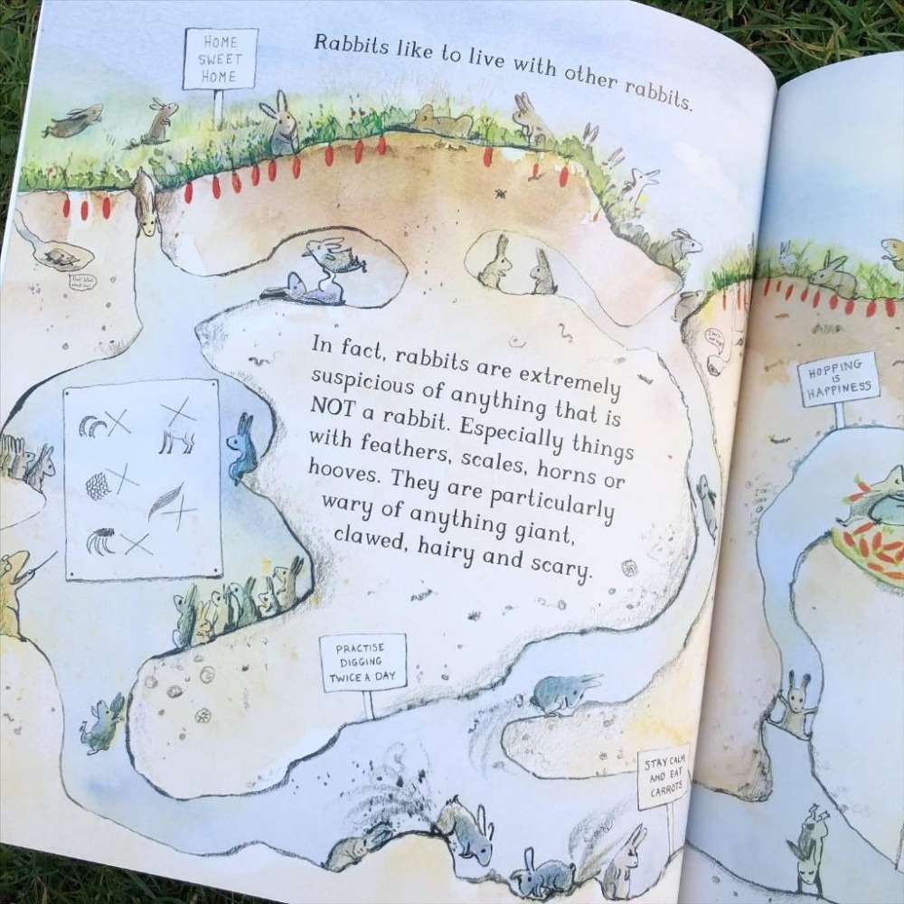 現貨【贈音檔】🍀英文平裝繪本🍀Beyond the Burrow🍀 Jessica Meserve 【缺書店】-細節圖4