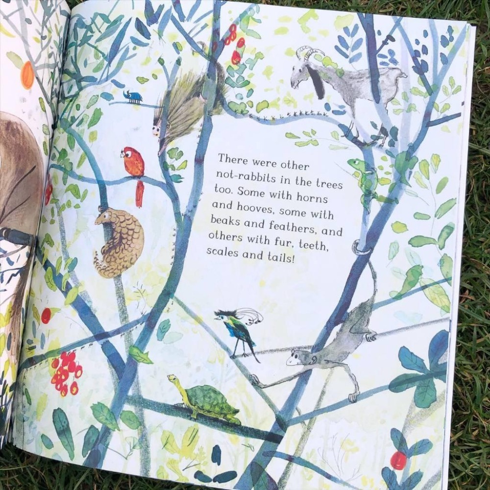 現貨【贈音檔】🍀英文平裝繪本🍀Beyond the Burrow🍀 Jessica Meserve 【缺書店】-細節圖6