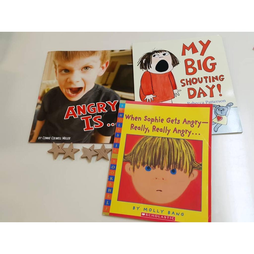【訂購】My Big Shouting Day! 獲得英國羅德‧道爾幽默童書獎🍀同理心面對小孩的暴走壞心情🍀情緒管理-細節圖9