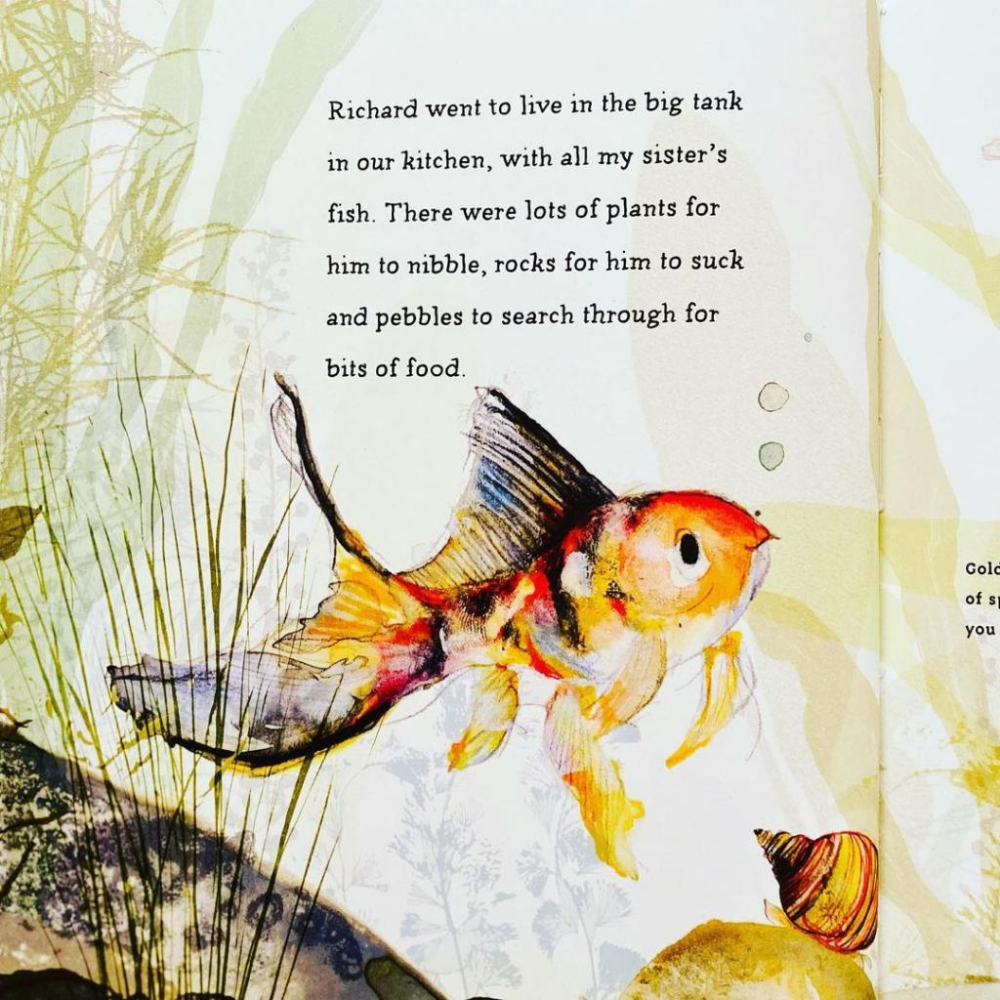 【現貨】🍀平裝英文繪本My Pet Goldfish 如何🍀Catherine Rayner【缺書店】-細節圖7
