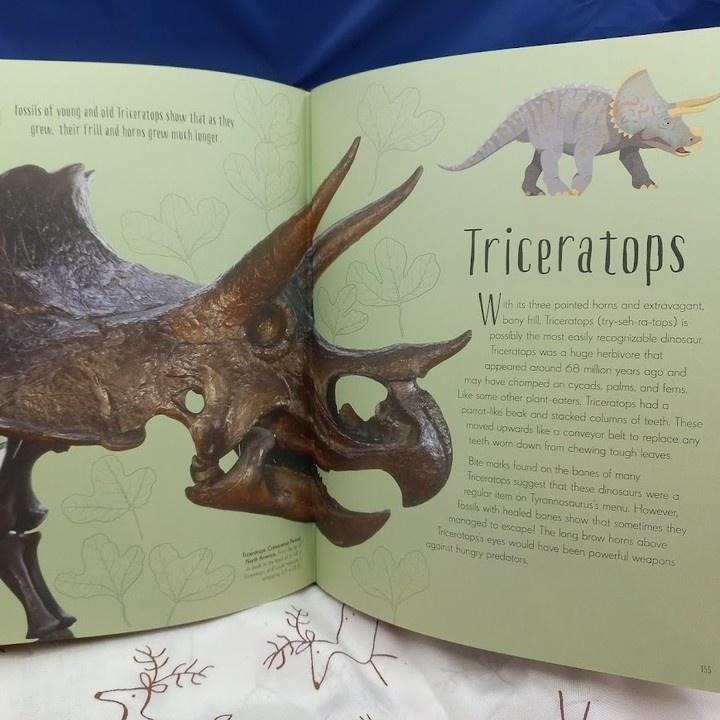 DK精裝英文科普Dinosaurs and other Prehistoric Life書側燙金非常精美【英國版】缺書店-細節圖2