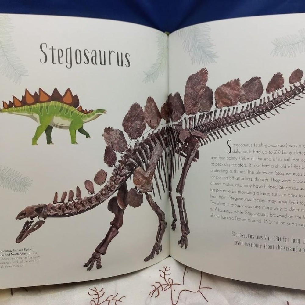 DK精裝英文科普Dinosaurs and other Prehistoric Life書側燙金非常精美【英國版】缺書店-細節圖4