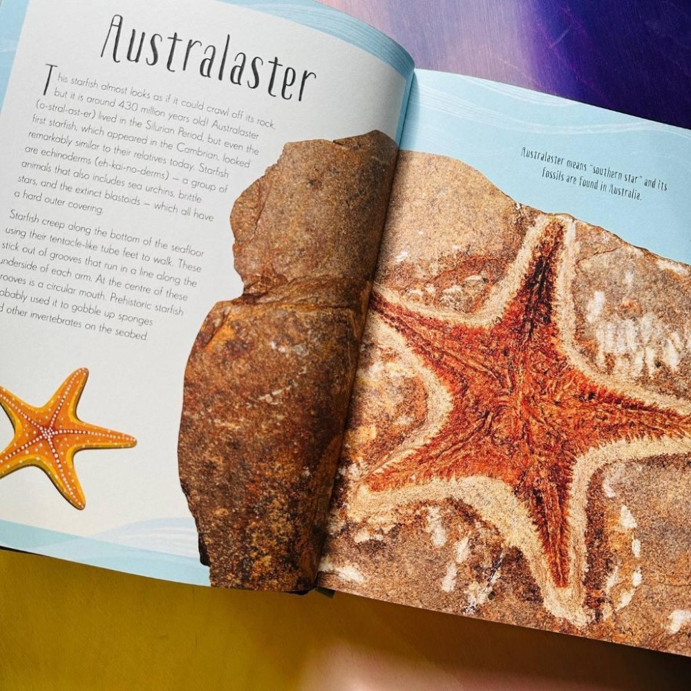 DK精裝英文科普Dinosaurs and other Prehistoric Life書側燙金非常精美【英國版】缺書店-細節圖5