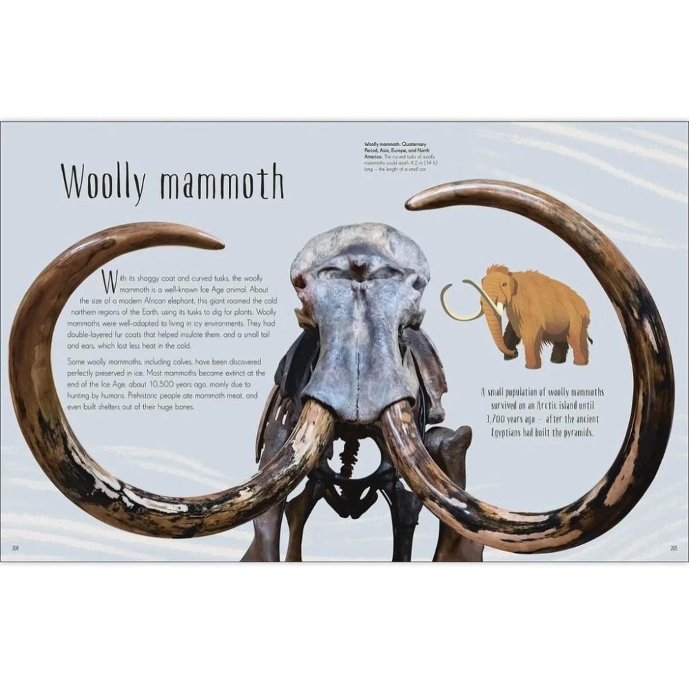 DK精裝英文科普Dinosaurs and other Prehistoric Life書側燙金非常精美【英國版】缺書店-細節圖6