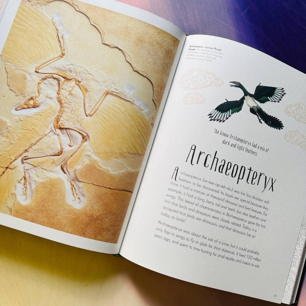 DK精裝英文科普Dinosaurs and other Prehistoric Life書側燙金非常精美【英國版】缺書店-細節圖8