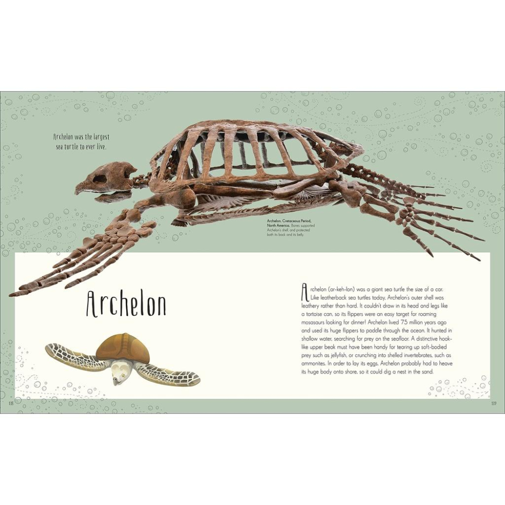 訂購🍀DK精裝英文科普Dinosaurs and other Prehistoric Life書側燙金非常精美【英國版】-細節圖3