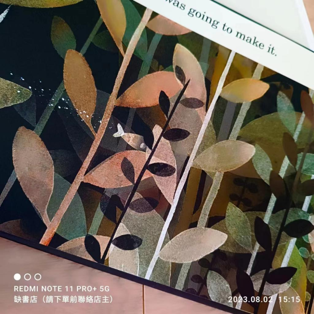 現貨【贈音檔】獲獎精裝英文啟蒙繪本THIS IS NOT MY HAT🍀Jon Klassen【缺書店】非常值得收藏的書-細節圖5