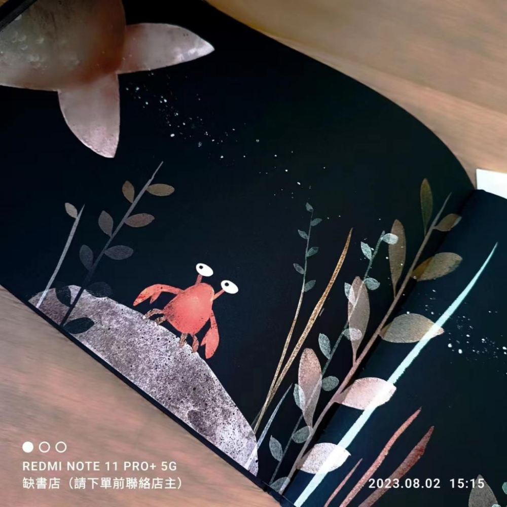 現貨【贈音檔】獲獎精裝英文啟蒙繪本THIS IS NOT MY HAT🍀Jon Klassen【缺書店】非常值得收藏的書-細節圖6