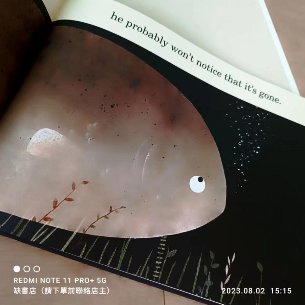 現貨【贈音檔】獲獎精裝英文啟蒙繪本THIS IS NOT MY HAT🍀Jon Klassen【缺書店】非常值得收藏的書-細節圖9