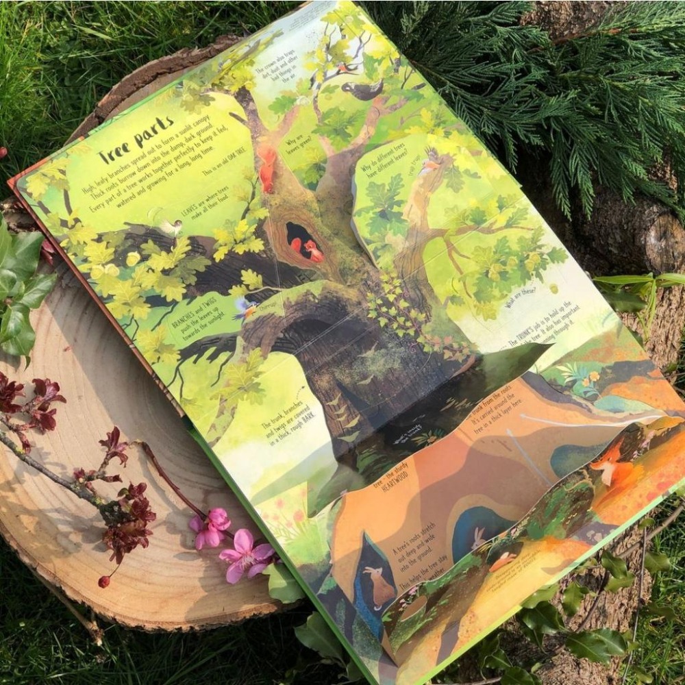 Usborne英文科普知識繪本🍀Lift-The-Flap Trees🍀硬頁書帶翻翻頁🍀缺書店-細節圖3