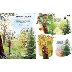 Usborne英文科普知識繪本🍀Lift-The-Flap Trees🍀硬頁書帶翻翻頁🍀缺書店-細節圖5