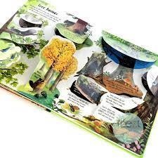 Usborne英文科普知識繪本🍀Lift-The-Flap Trees🍀硬頁書帶翻翻頁🍀缺書店-細節圖6
