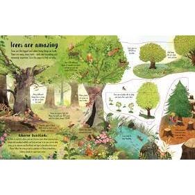Usborne英文科普知識繪本🍀Lift-The-Flap Trees🍀硬頁書帶翻翻頁🍀缺書店-細節圖9